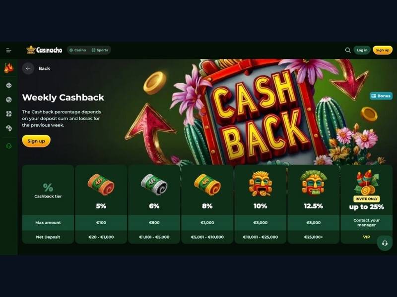 Come si sommano tutti i bonus di Casinacho Casino Nacho Casino nel tempo per l'Italia